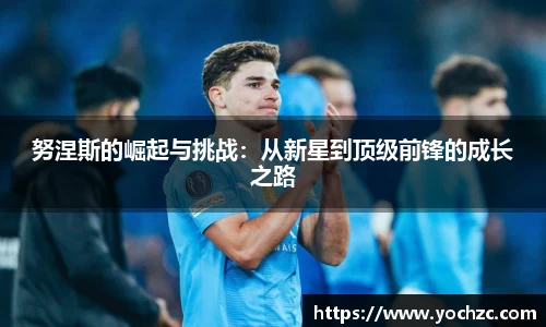努涅斯的崛起与挑战：从新星到顶级前锋的成长之路