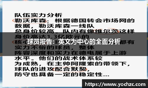 球员报告：英文为中心的全面分析